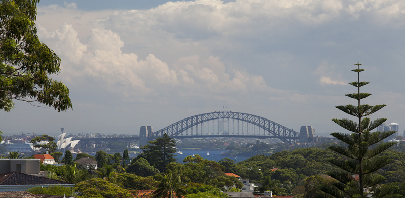 Click here for more photos